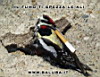 Il fumo spezza